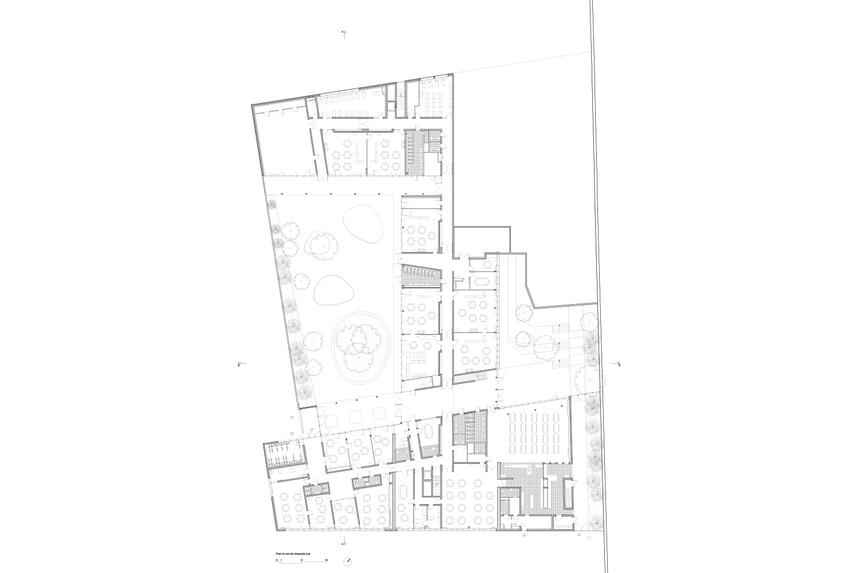 Alice Guy public school