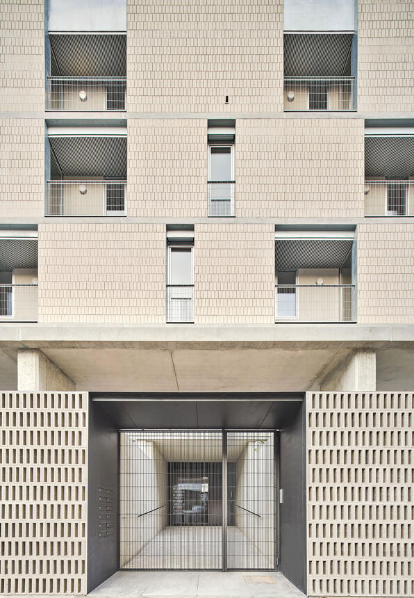 HABITABLE LATTICE (54 Social Housing in Bon Pastor)